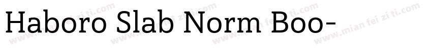Haboro Slab Norm Boo字体转换